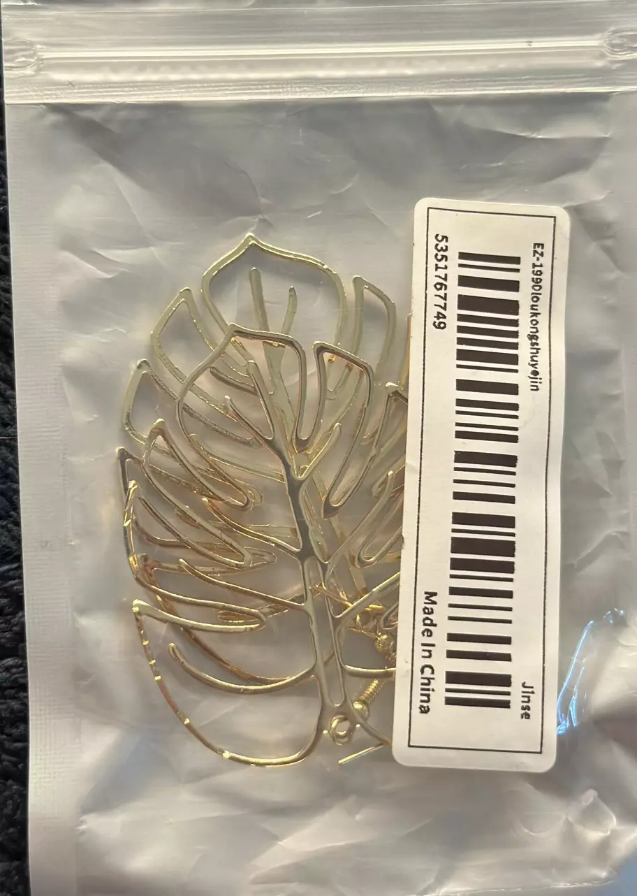 plant/Monstera Earrings-1