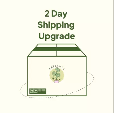 shipping_upgrade/2 Day Shipping Upgrade-0-thumbnail