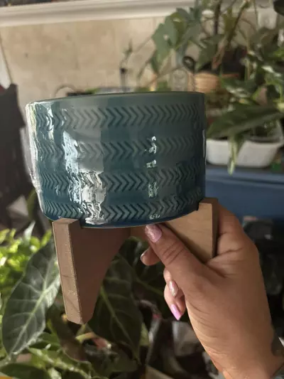 plant/Ceramic pot with stand-0-thumbnail