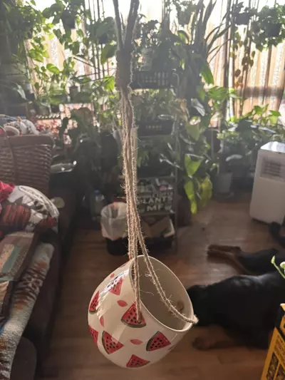 plant/Watermelon ceramic hanging pot-1-thumbnail