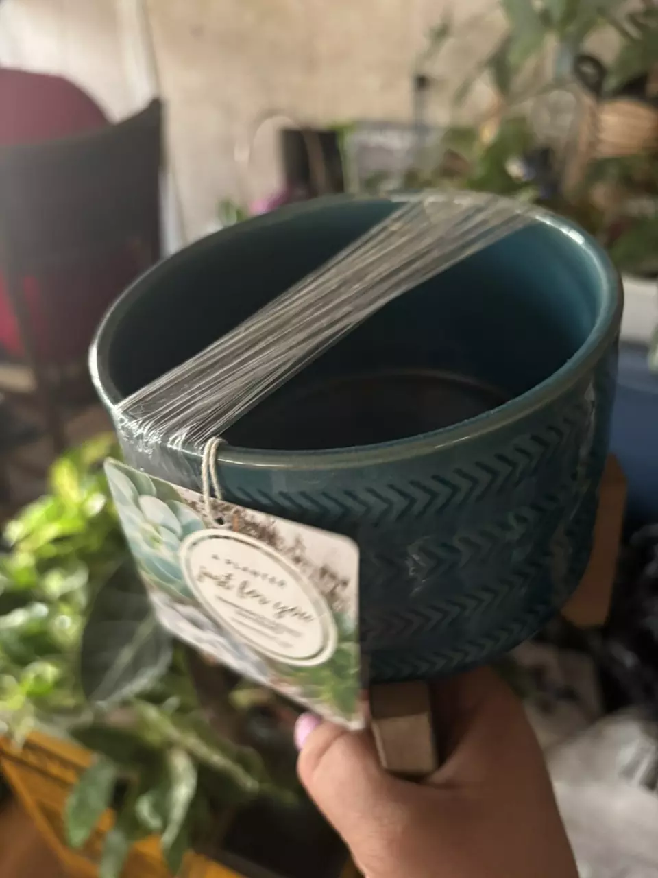 plant/Ceramic pot with stand-1