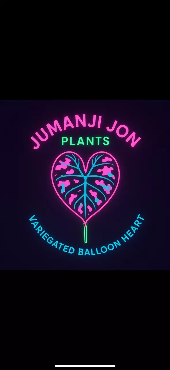 plant/Stoners Choice Variegated Pink Ballon Heart TC-0
