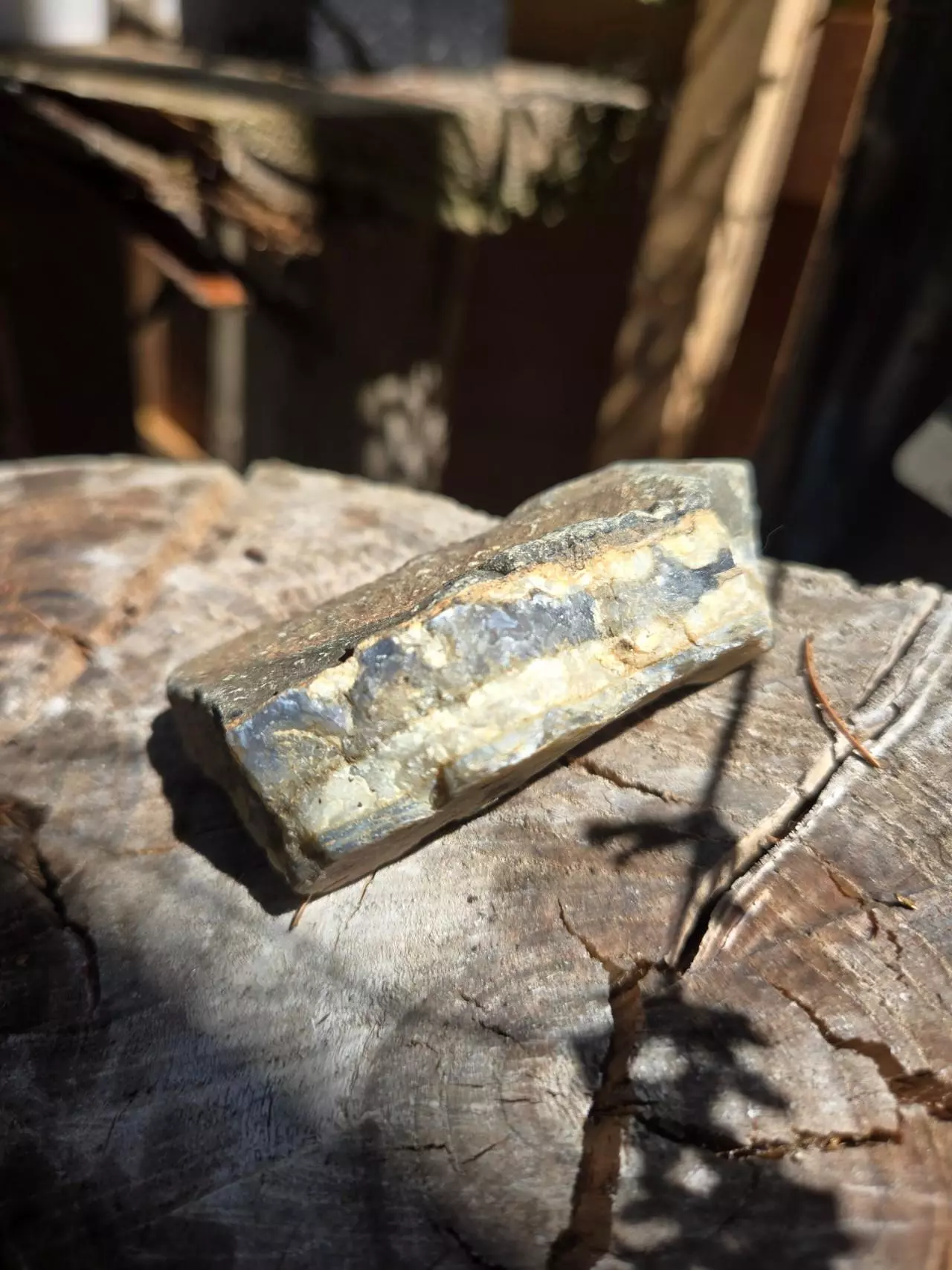 plant/RAW WA Cascades quartz- Sellers choice- Clear-Clear/Smokey-Clear/blue-1