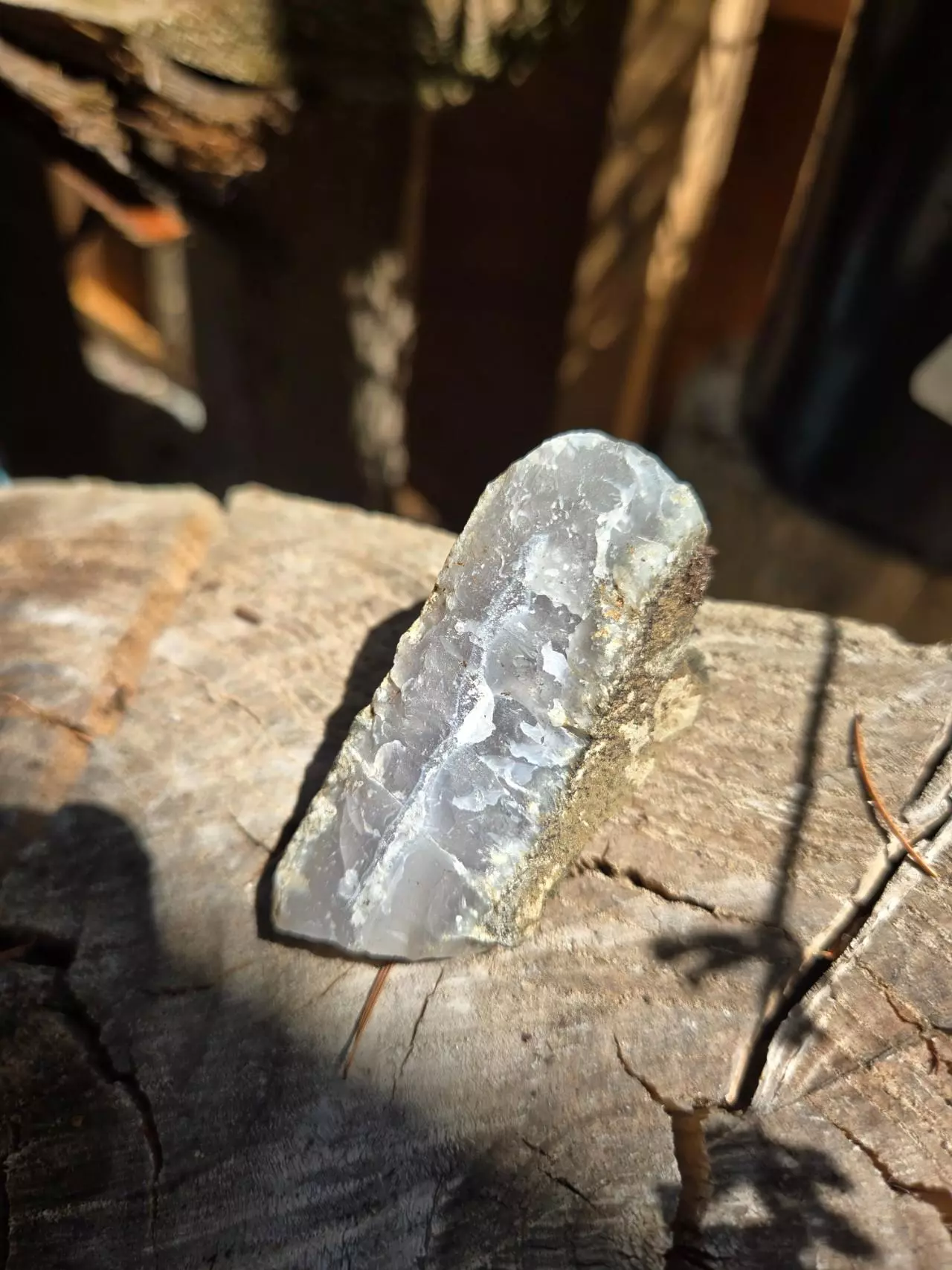 plant/RAW WA Cascades quartz- Sellers choice- Clear-Clear/Smokey-Clear/blue-0