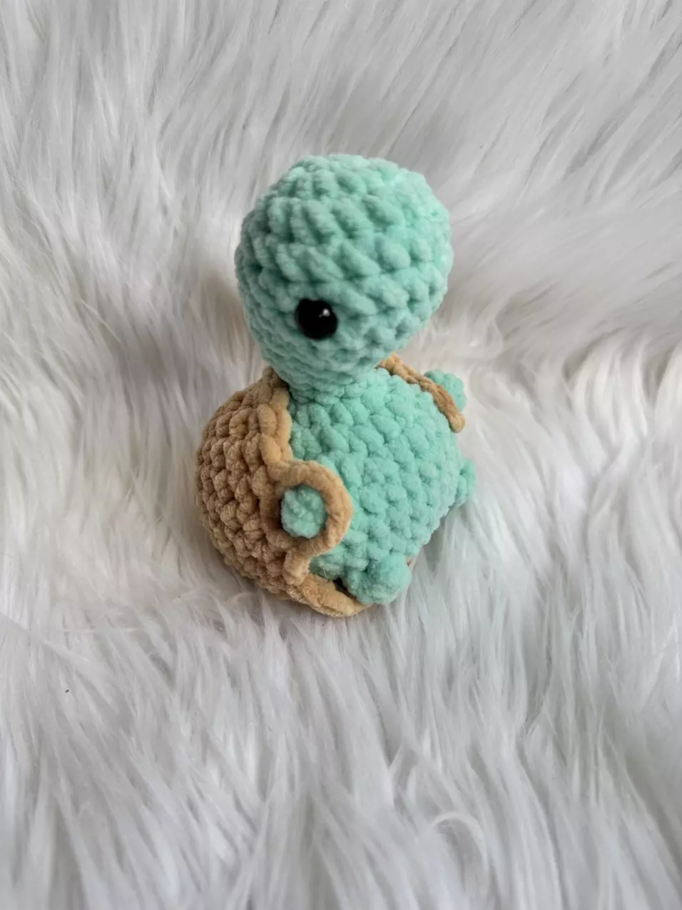 plant/Booty Turtle-0
