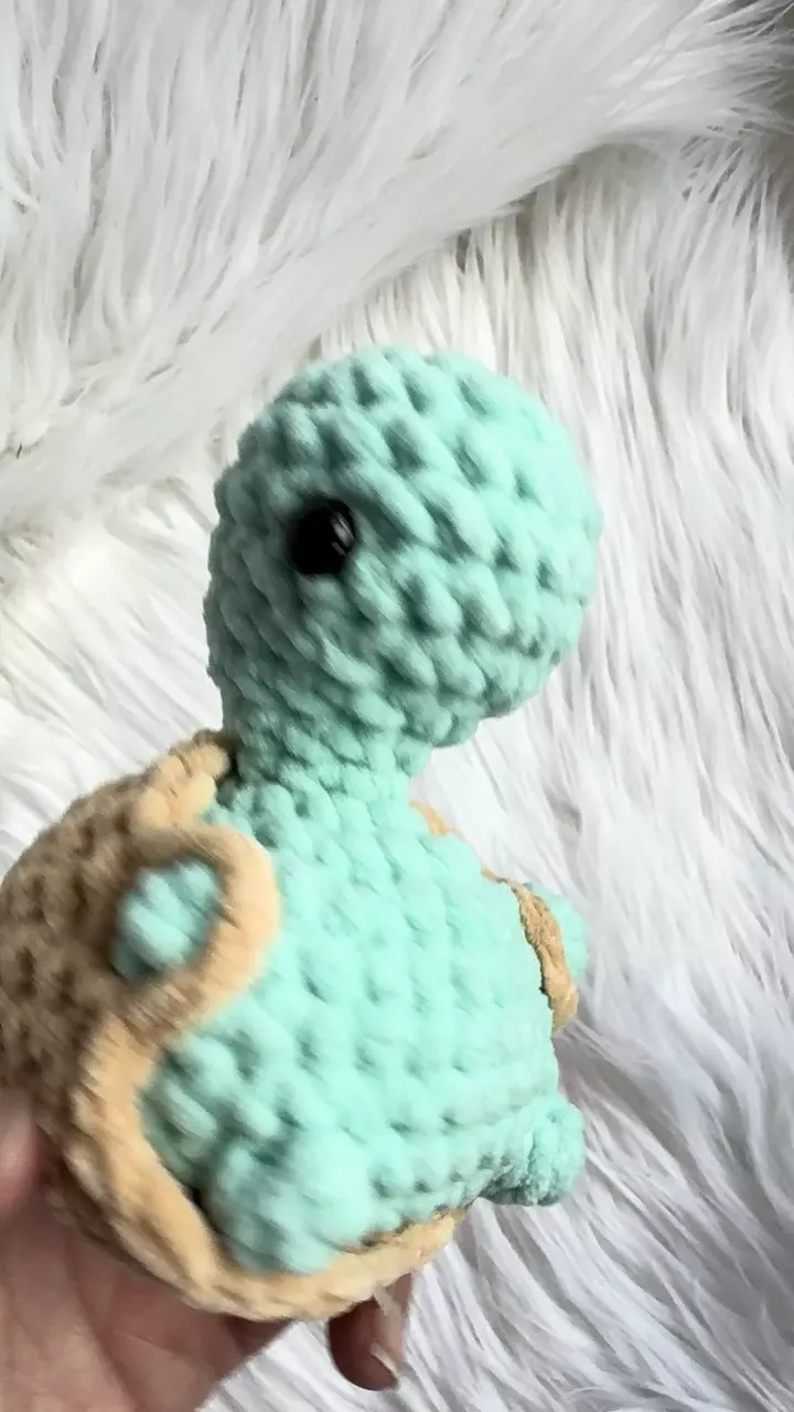 plant/Booty Turtle-1