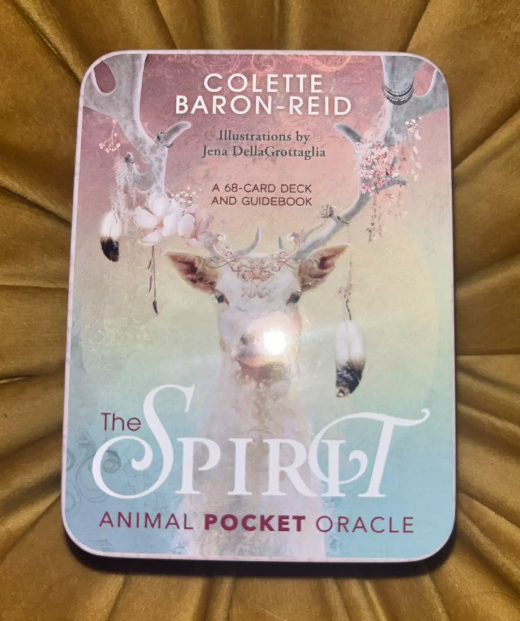 plant/Oracle Deck Three Card Reading-4