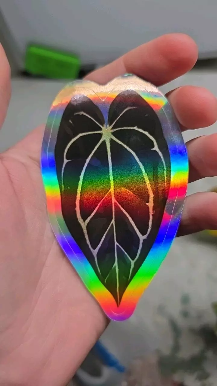 free_shipping/4" Holographic Carlablackiae Sticker-0