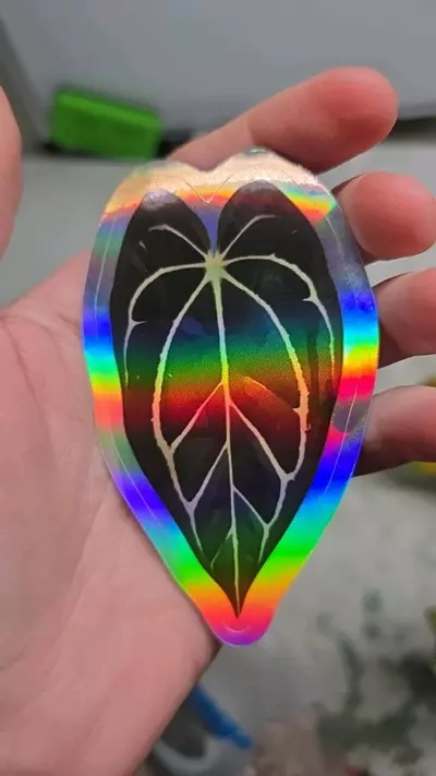 free_shipping/4" Holographic Carlablackiae Sticker-0-thumbnail