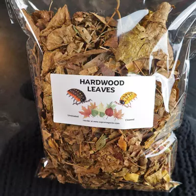 plant/Hardwood leaves -  1 gallon bag-0-thumbnail