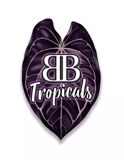 plant/Hawaii/Alaska Shipping Upgrade-0-thumbnail