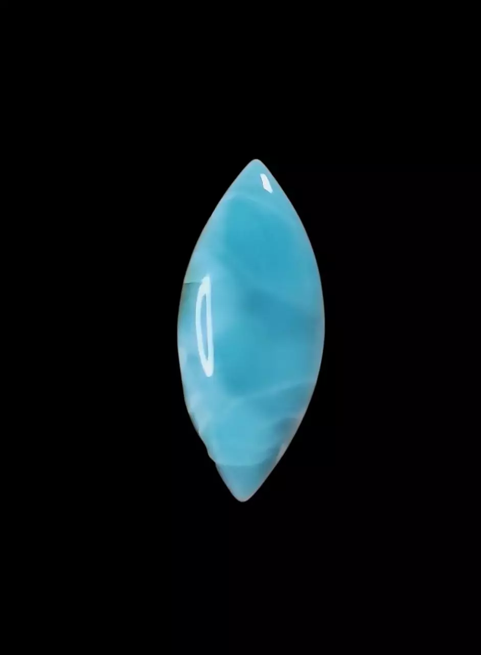 plant/LARIMAR CAB ( natashagillyyyy )-0