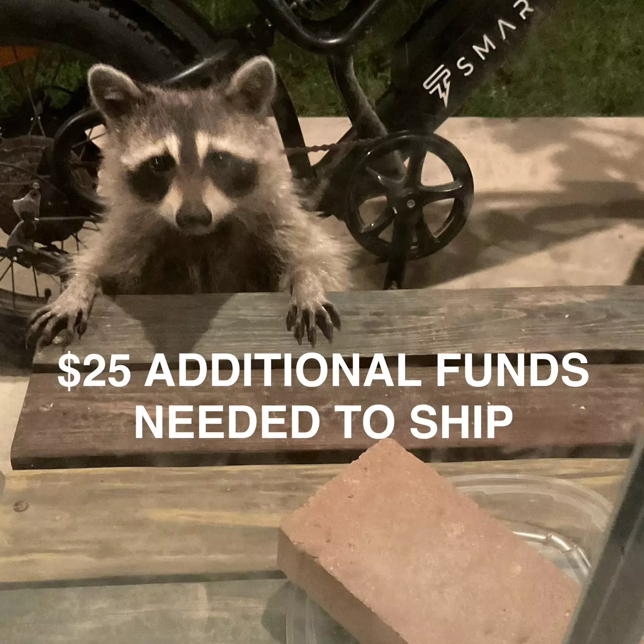 plant/$25 additional funds needed by UPS after weight and dimensions input-0