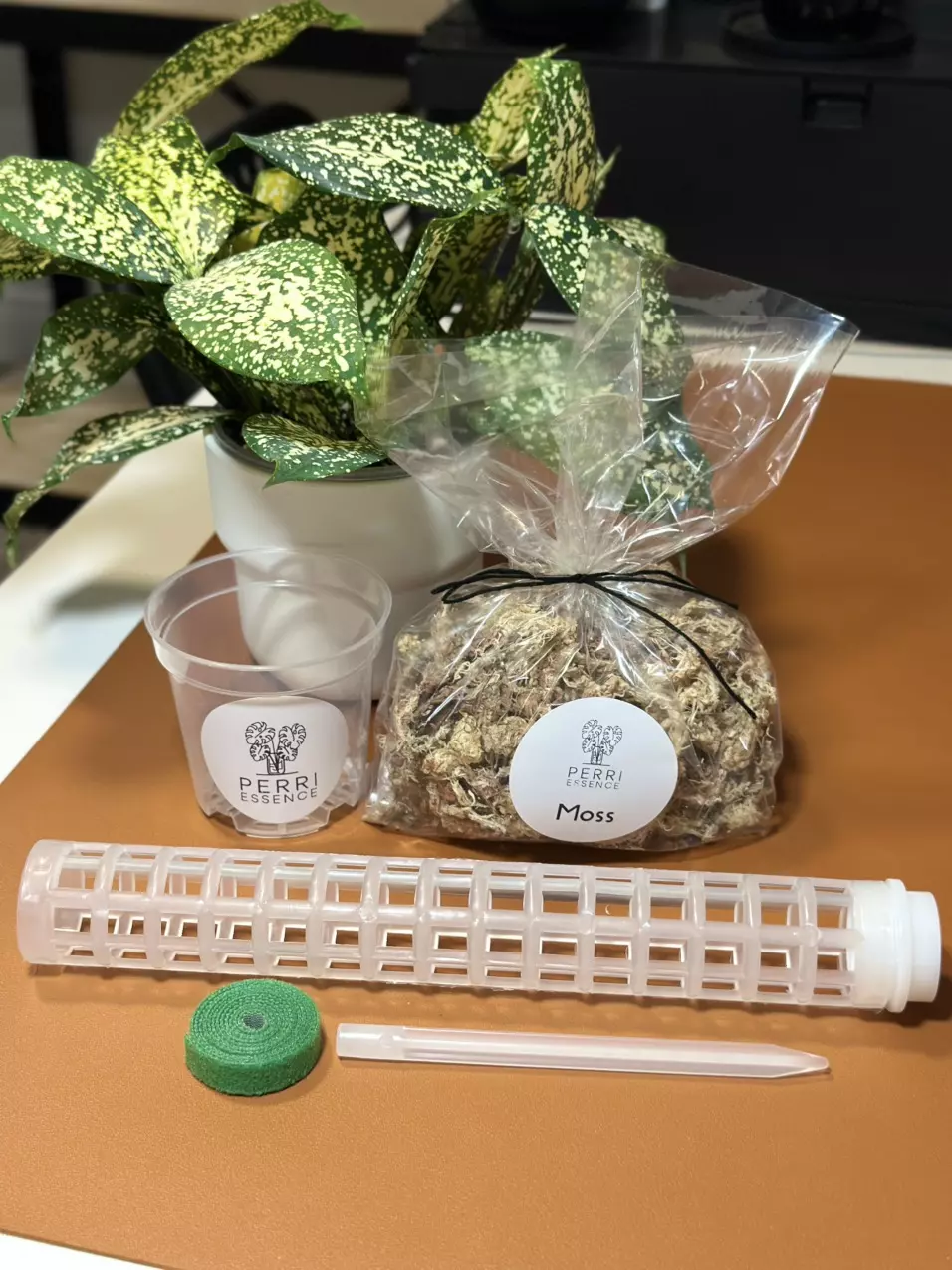 plant/15” Moss Pole Kit- 3” & 4” pots-0