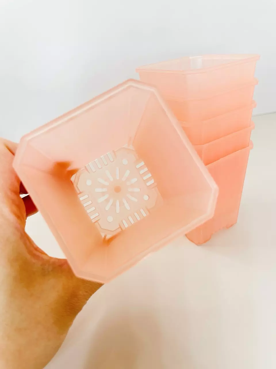 plant/2.75” Pink Pots (Set of 10)-0