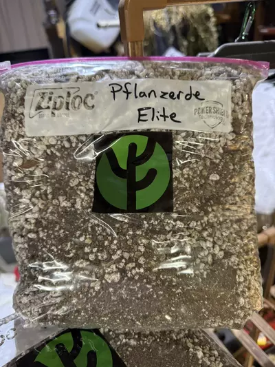 plant/Midwest Kaktushaus “Pflanzerde Elite” Cactus Soil-0-thumbnail