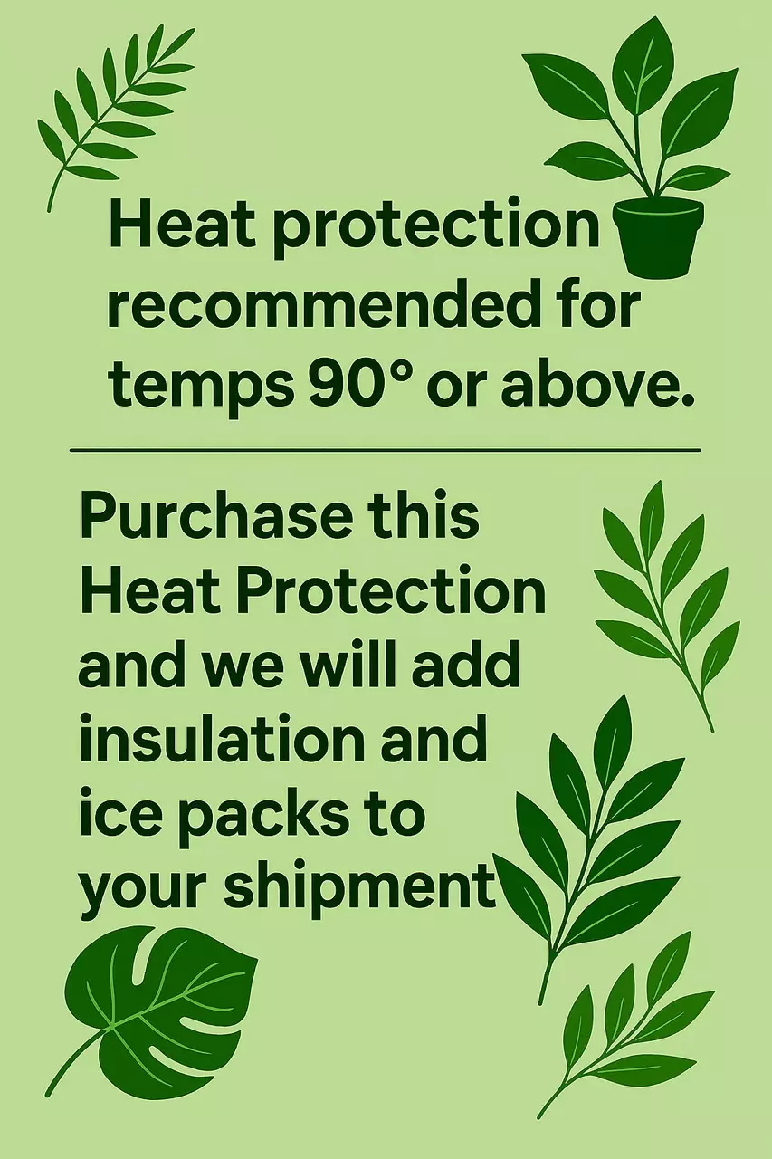 plant/Heat Protection- for orders of 5 plants or more-1
