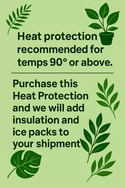 plant/Heat Protection- for orders of 5 plants or more-1-thumbnail