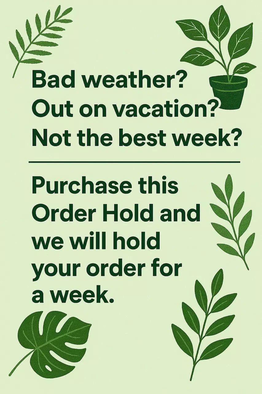 plant/Hold for a week!-1