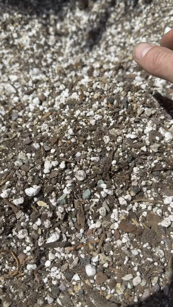 plant/Midwest Kaktushaus “Pflanzerde Elite” Cactus Soil-1