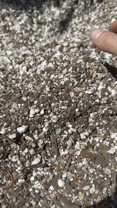 plant/Midwest Kaktushaus “Pflanzerde Elite” Cactus Soil-1-thumbnail