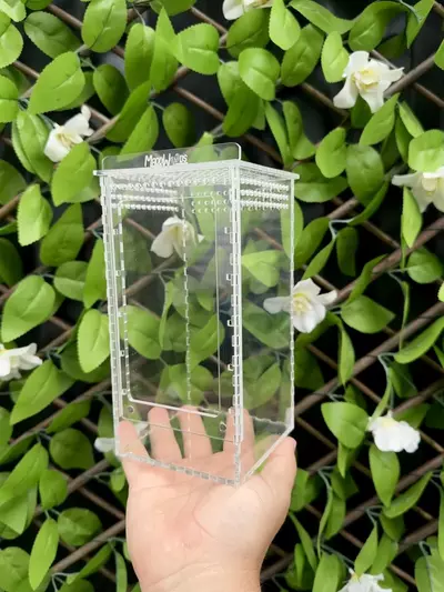 plant/Small Arboreal Enclosure 8”x4”x4”-0-thumbnail