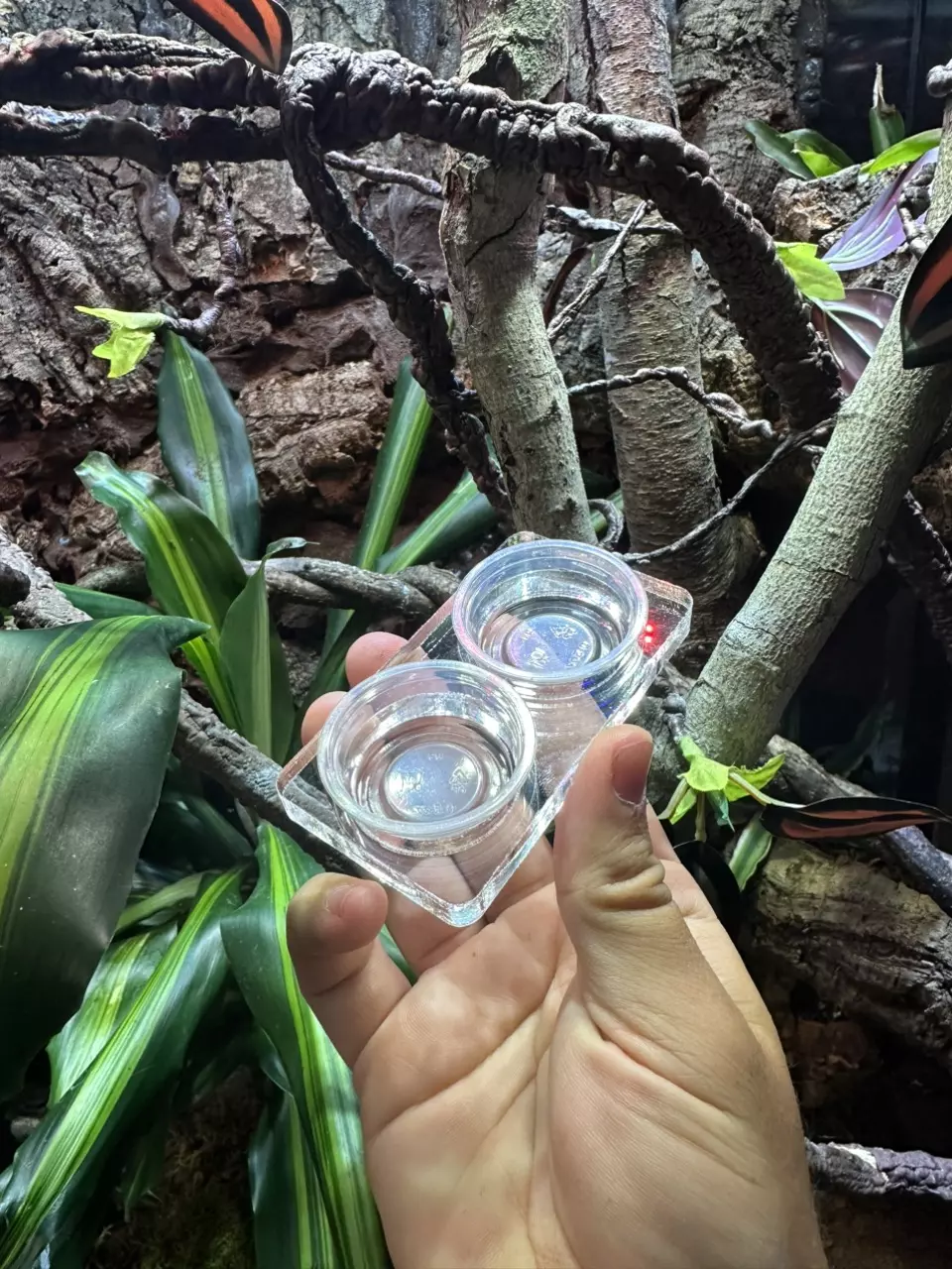 plant/Floor feeder and water dish-0