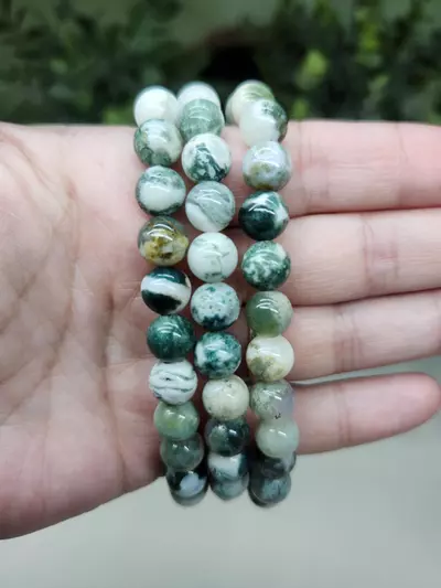 plant/Moss Agate 7in bracelet 8mm beads-0-thumbnail