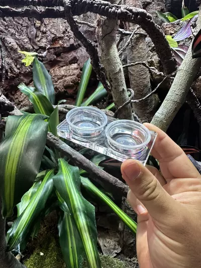 plant/Floor feeder and water dish-2-thumbnail