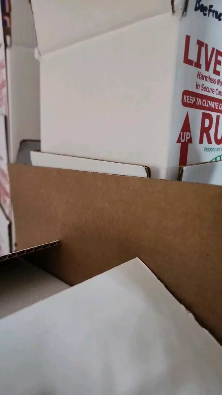 plant/Animal shipping flat rate-0