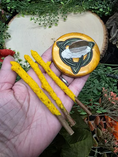 plant/Dipped Sage Tree Branches-2-thumbnail