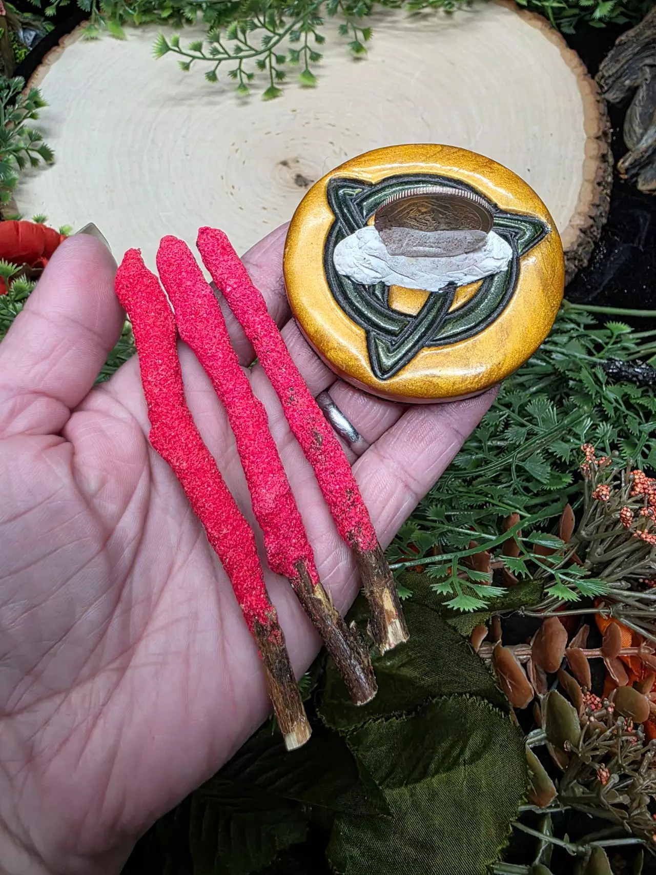 plant/Dipped Sage Tree Branches-4