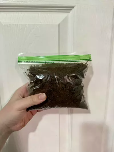 free_shipping/ADD ON Tree Fern Fiber - Sandwich Bag Size-0-thumbnail