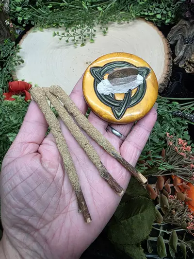 plant/Dipped Sage Tree Branches-3-thumbnail