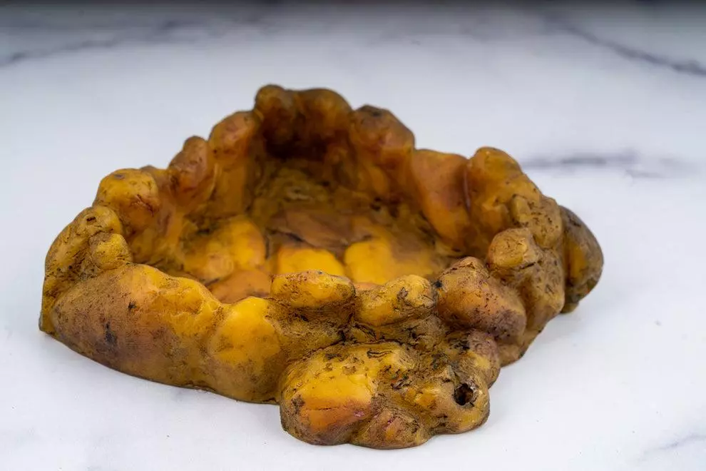 plant/Exo-Terra Corner Water Dish-1