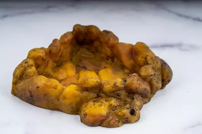 plant/Exo-Terra Corner Water Dish-1-thumbnail