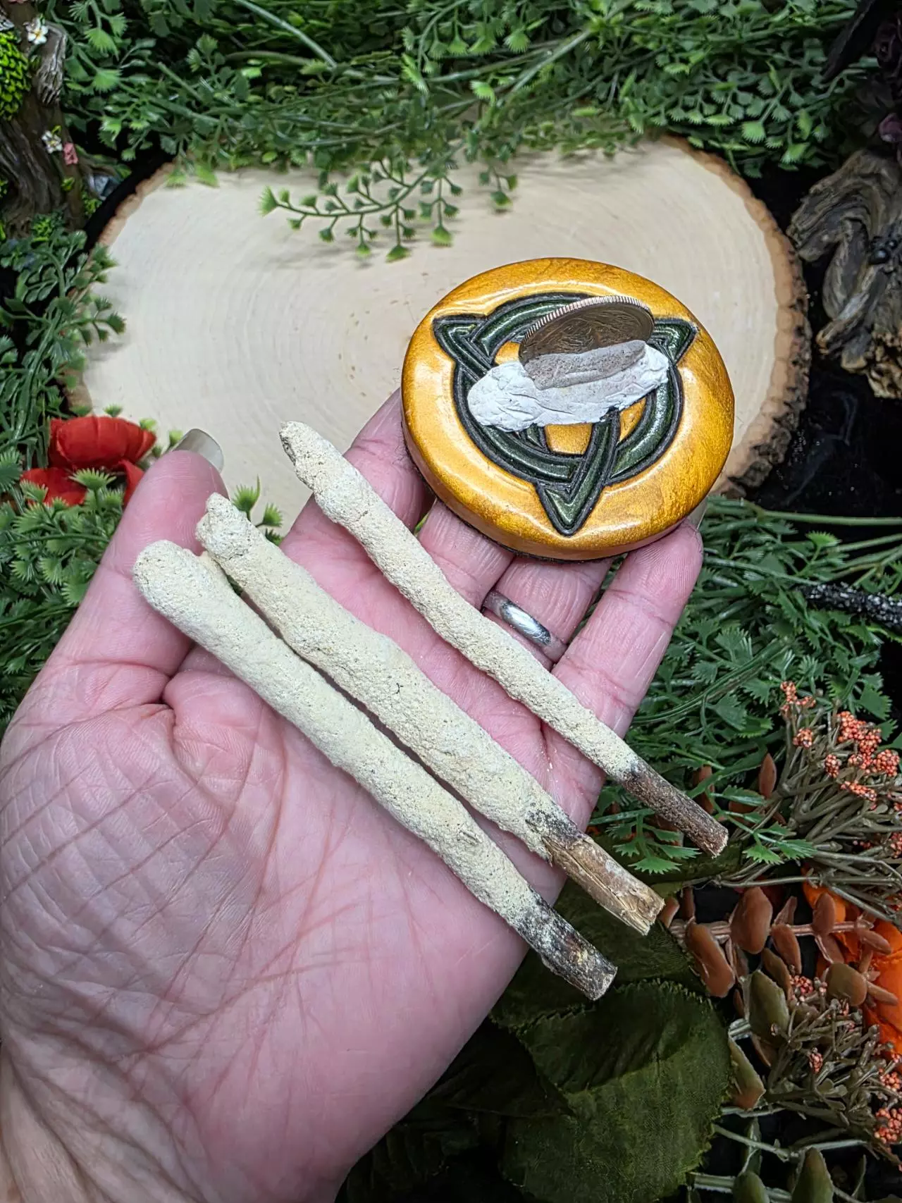 plant/Dipped Sage Tree Branches-1