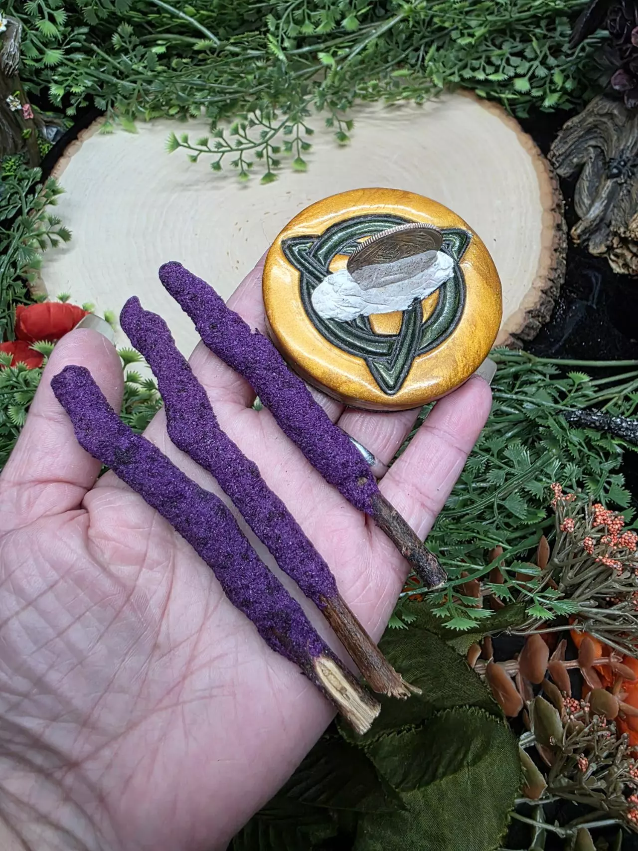 plant/Dipped Sage Tree Branches-0