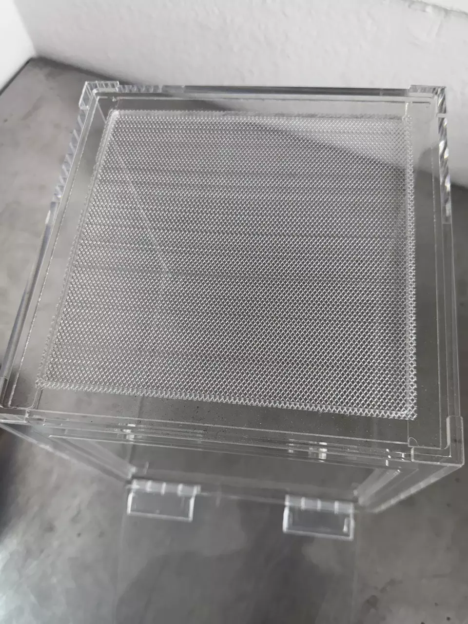 plant/8x8x8 Acrylic enclosure-4