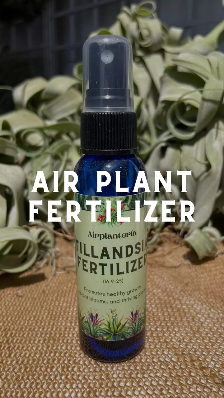 plant/Tillandsia Fertilizer – Epiphyte Formula 🌿-0