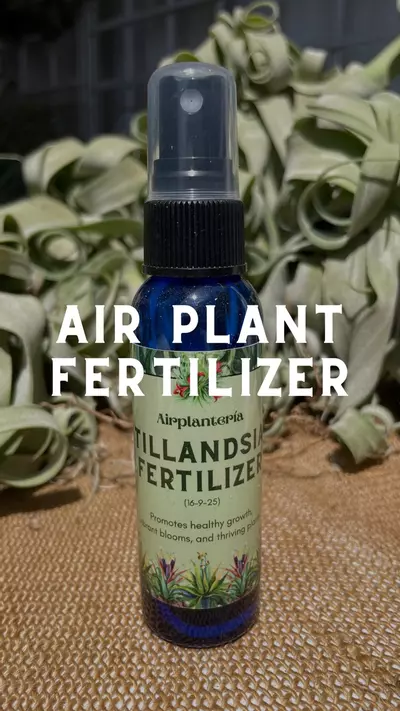 plant/Tillandsia Fertilizer – Epiphyte Formula 🌿-0-thumbnail