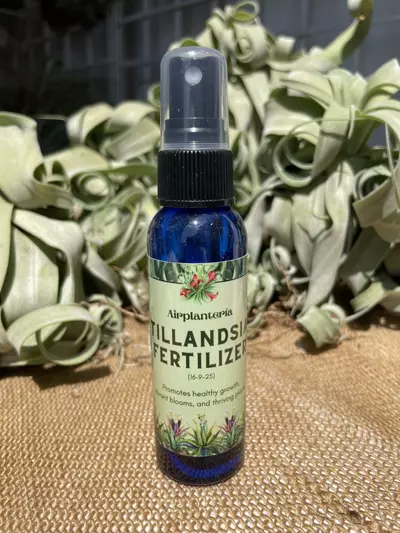 plant/Tillandsia Fertilizer – Epiphyte Formula 🌿-3-thumbnail