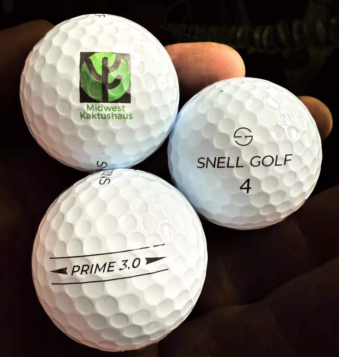 plant/MW “Bundesadler” Eagle Getter Golf Balls-0