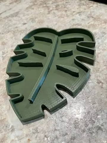 plant/3 TRAYS FOR $25-0