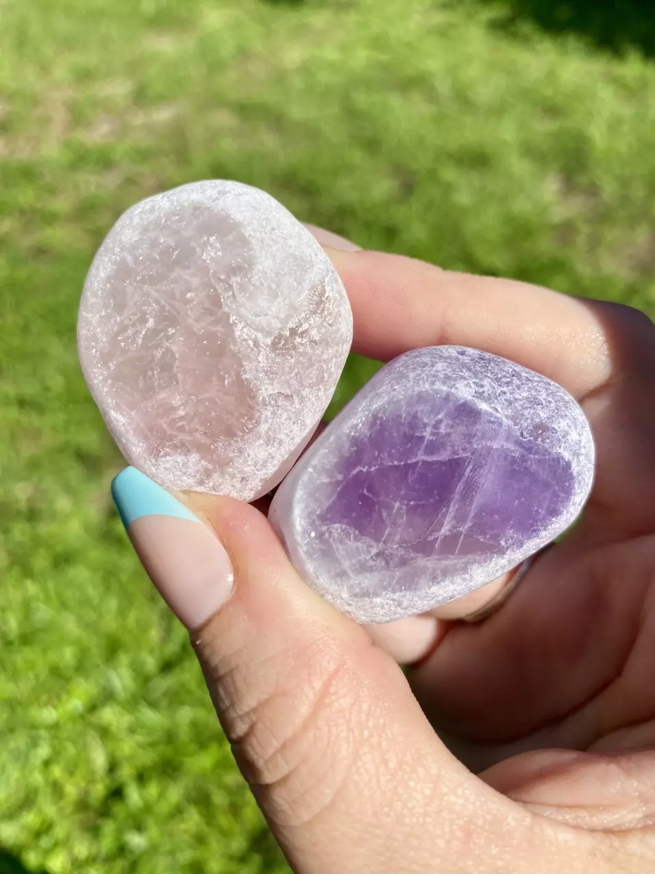 plant/Reserve Listing - Pohlkerswife-1