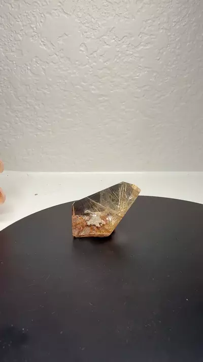 plant/GARDEN WITH RUTILE-1-thumbnail