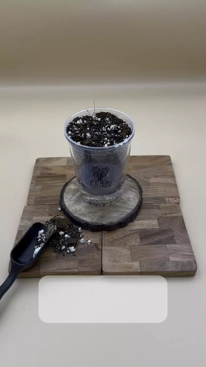 plant/3” Self-Watering Wick System Pot-0