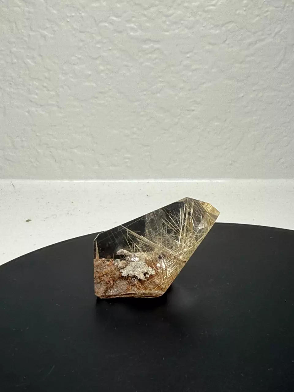 plant/GARDEN WITH RUTILE-0