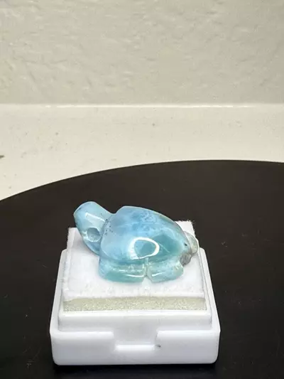 plant/LARIMAR TURTLE PENDANT-0-thumbnail
