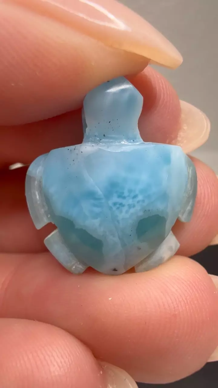 plant/LARIMAR TURTLE PENDANT-1